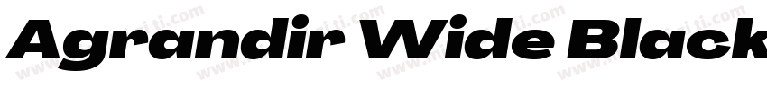 Agrandir Wide Black Italic字体转换